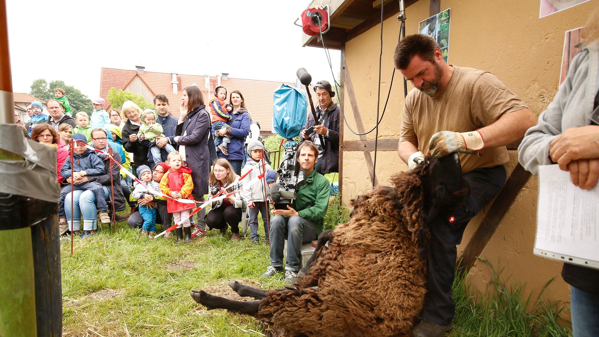 Eine Vielzahl an Bildungs- und Erlebnisangeboten, die sich um Umwelt und Klima drehen. Abgebildet ist das Schafschurfest.
