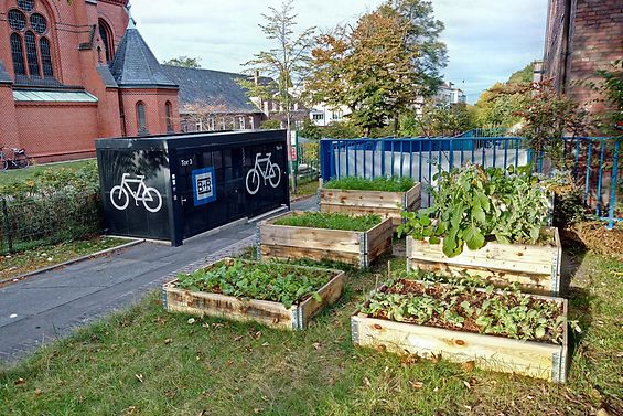 Sechs Hochbeete in einem Garten neben einer Kirche sind bewachsen mit Grünpflanzen. Daneben steht eine Fahrradgarage.