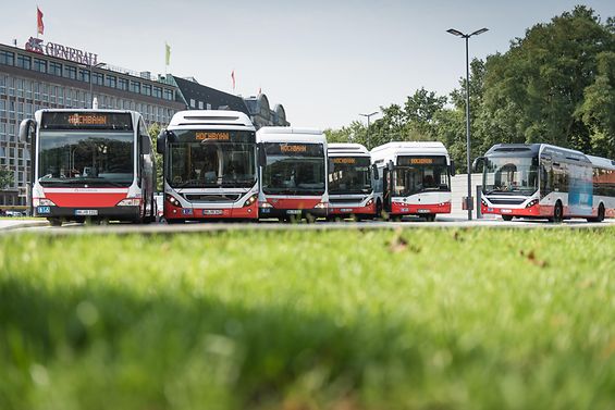 Sechs Busse der Hochbahn stehen auf dem Parkplatz des ZOB in Hamburg
