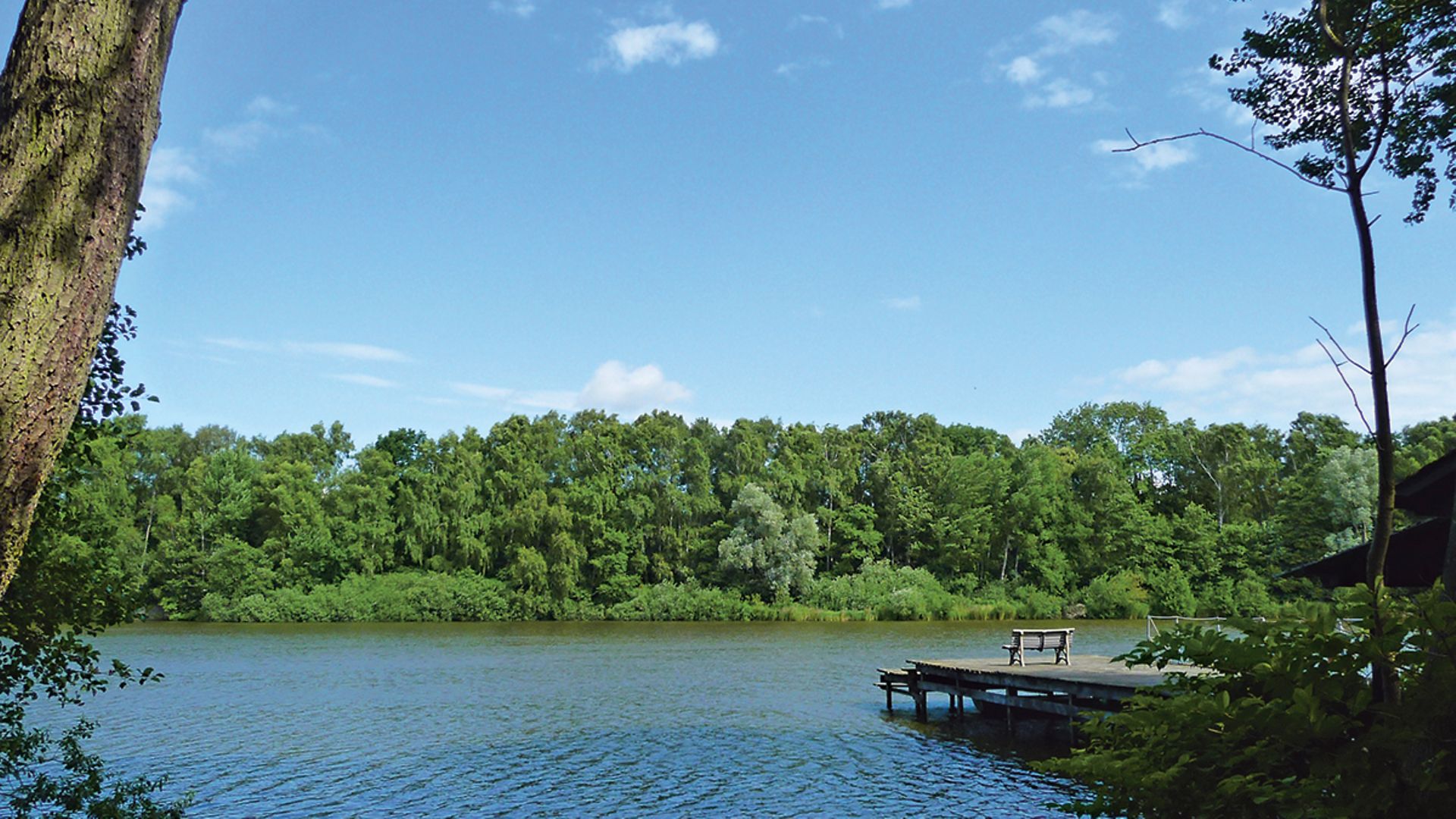 Unter blauem Himmel liegt der Bramfelder See, gesäumt von Bäumen und mit einem Holzanleger.